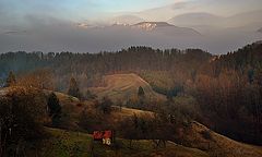 photo "***"