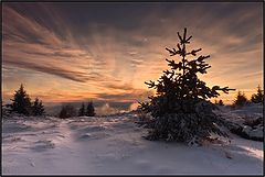photo "***"