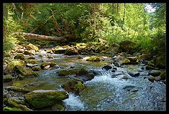 photo "Mystic river"