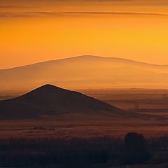фото "В золоте заката"
