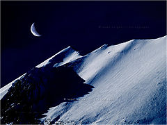 photo "moonlight"