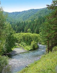 photo "mountain stream"