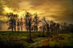 photo "***"