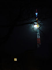 photo "two lonely"
