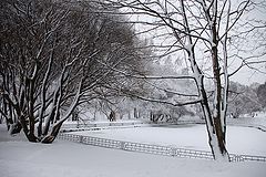 photo "***"