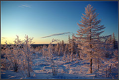 фото "Зимнее утро"