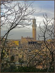 фото "Torre di Siena"