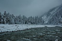 photo "***"