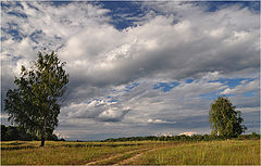 фото "Ветер тучи нагоняет"