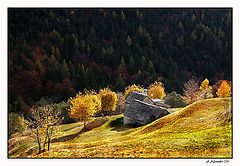photo "colori"