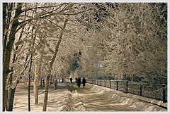 фото "Вечерняя прогулка"