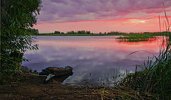 фото "Тихим утром"