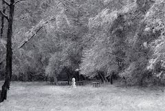 photo "when I was a child..."