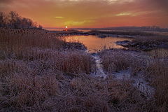 photo "Winter Morning"