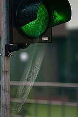 photo "***"