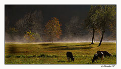 photo "colori"
