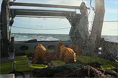 photo "Fishing Weekdays"