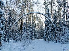 фото "Сказочный лес"