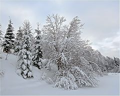 фото "Зимушка-зима"