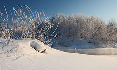 photo "***"