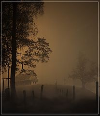 photo "***"