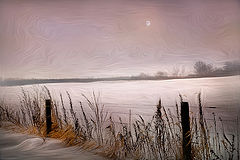 photo "Quiet Moments"