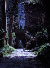photo "The electric castle"