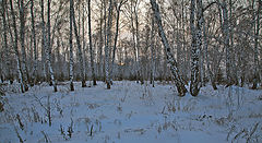 photo "***"