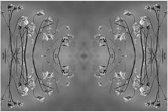 photo "***"