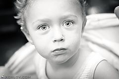 photo "***"