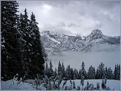 фото "Winter in Upper Austria"