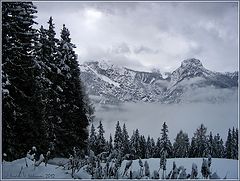 photo "Winter in Upper Austria"