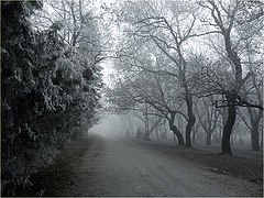 photo "***"