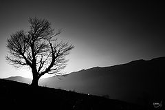 photo "none"