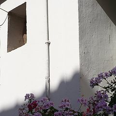 фото "the corner"