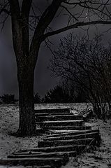 photo "Moon Walk"