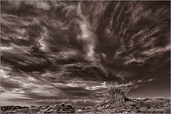 photo "Fuego"