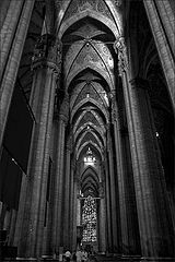 фото "in the Cathedral"
