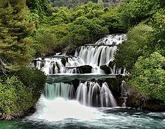 photo "N.P.Krka"
