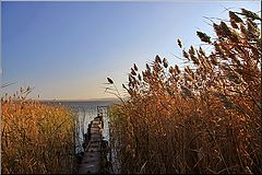 photo "***"