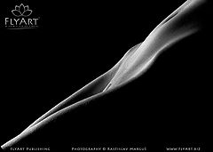 фото "Lucka 01"
