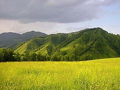 photo "Velvet mountain"