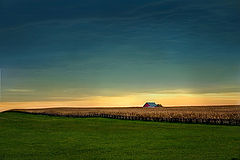photo "Alone"
