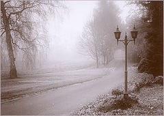 photo "***"