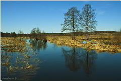 фото "природа средней полосы"