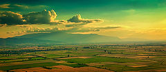 photo "Remembering the summer"