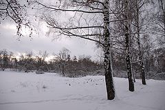 photo "***"