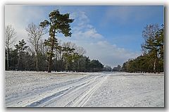 фото "У дороги"