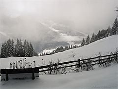 photo "Winter in Upper Austria"