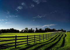 photo "Dancing Shadows"